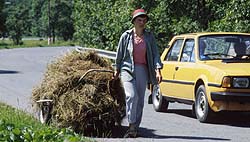 Photograph by Paul Starkey LT=