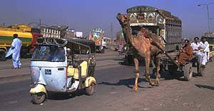 Photograph by Paul Starkey LT=