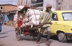 Photograph by Paul Starkey ͊WIDTH=