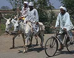 Photograph by Paul Starkey ࠁLT=