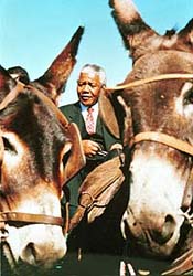 Photographie de Stephen Lawrence �