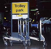 Photographie de Paul Starkey �