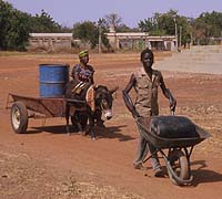 Both wheelbarrow and donkey cart options are being promoted for water collection in Burkina Faso.