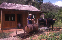 Photograph by Paul Starkey ෩dth=